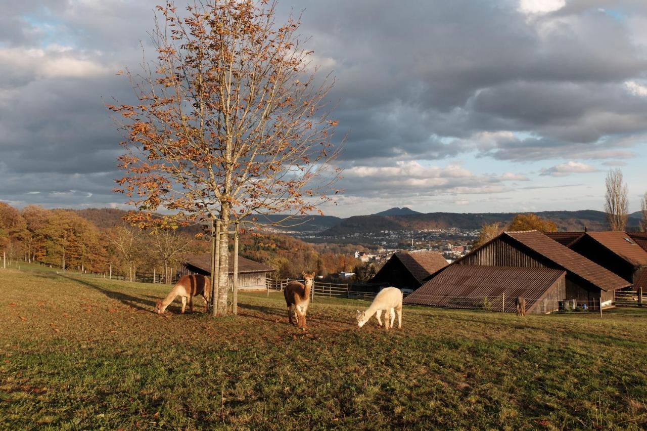Prophetengut - Die Perle Im Jurapark Habsburg Zewnętrze zdjęcie